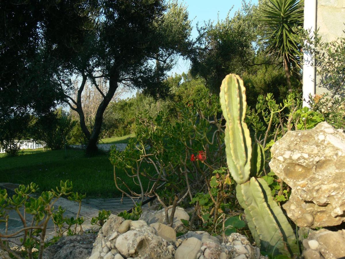 Villa Quietude Agios Stefanos Avliotes  Ruang foto