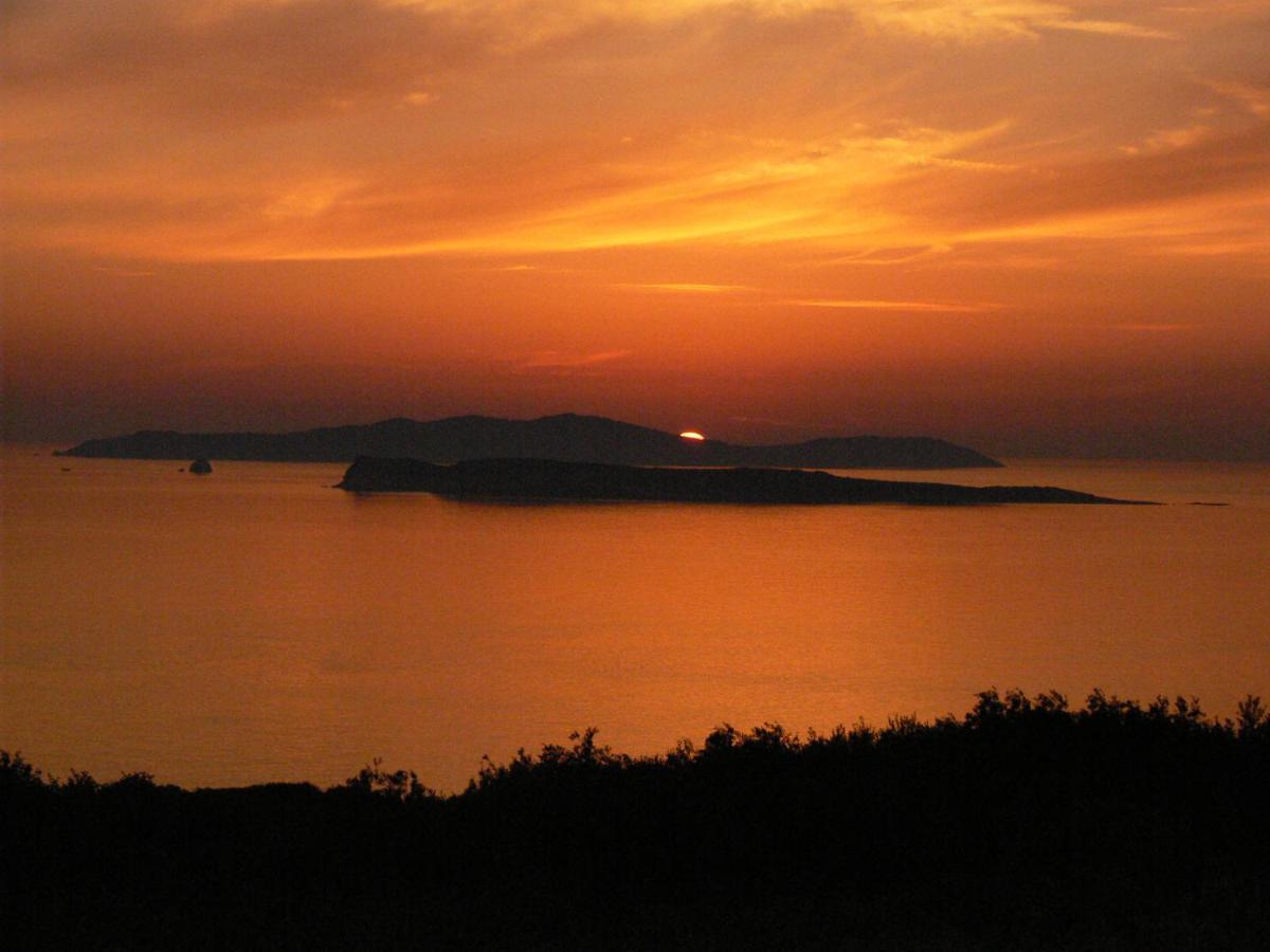 Villa Quietude Agios Stefanos Avliotes  Bagian luar foto